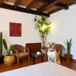 Hotel Posada Tolosa - Hotel Pet Friendly en Zacatecas