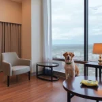 Hotel Premier - Hotel Pet Friendly en Saltillo