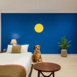 Hotel Premier Inn Tuxtla [plaza Las Américas] - Hotel Pet Friendly en Tuxtla Gutiérrez