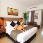 Hotel Qualitel Plus - Hotel Pet Friendly en Morelia