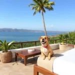 Hotel Quinta Esmeralda - Hotel Pet Friendly en Tecozautla