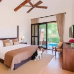 Hotel Quinta La Escondida - Hotel Pet Friendly en Tecozautla