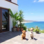 Hotel Real De Catalina - Hotel Pet Friendly en Tecozautla