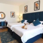 Hotel San Ignacio Inn - Hotel Pet Friendly en Torreón