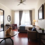 Hotel San Pedro Puebla - Hotel Pet Friendly en Heroica Puebla de Zaragoza