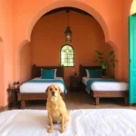Hotel Sevilla Palenque - Hotel Pet Friendly en Palenque