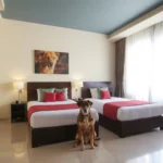 Hotel Suites La Negra + Renta De Autos - Hotel Pet Friendly en Mérida