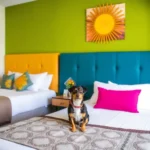 Hotel Suites Regina - Hotel Pet Friendly en Boca del Río