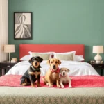 Hotel Sweet - Hotel Pet Friendly en Monterrey