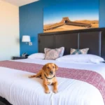 Hotel Tabasco Inn - Hotel Pet Friendly en Villahermosa