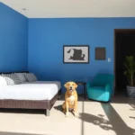 Hotel Terminal De Puebla - Hotel Pet Friendly en Heroica Puebla de Zaragoza