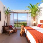Hotel Villa Alta - Hotel Pet Friendly en Oaxaca de Juárez