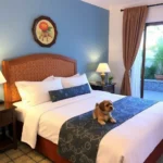 Hotel Villa De Las Flores - Hotel Pet Friendly en Tecozautla