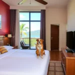 Hotel Vista Inn Premium - Hotel Pet Friendly en Tuxtla Gutiérrez