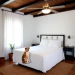 Hotel «real Capital Tabasco» - Hotel Pet Friendly en Villahermosa