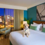 Howard Johnson By Wyndham Veracruz - Hotel Pet Friendly en Veracruz
