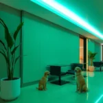 Ibis Torreón - Hotel Pet Friendly en Torreón