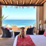 La Hacienda De La Langosta Roja - Hotel Pet Friendly en San Felipe
