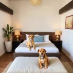 Loft Sabalo - Pet Friendly - Hotel Pet Friendly en Mazatlán