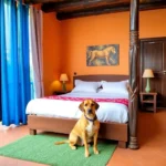 Los Faroles Hotel Posada - Hotel Pet Friendly en Villahermosa
