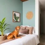Maja Hotel Boutique - Hotel Pet Friendly en Morelia