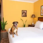 Marques Oaxaca Hotel - Hotel Pet Friendly en Oaxaca de Juárez