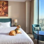 Marriott Puebla Mesón Del Ángel - Hotel Pet Friendly en Heroica Puebla de Zaragoza