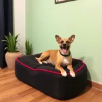 Mesón De Jobito - Hotel Pet Friendly en Zacatecas