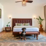Mesón Del Alférez Xalapa - Hotel Pet Friendly en Xalapa-Enríquez
