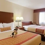 Microtel Inn & Suites By Wyndham Chihuahua - Hotel Pet Friendly en Chihuahua