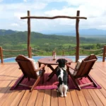 Oyo Hotel Cabañas San Catarino - Hotel Pet Friendly en Palenque