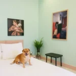 Oyo Hotel Meson De La Concepción - Hotel Pet Friendly en Zacatecas
