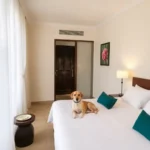 Oyo Hotel Posada Los Pinos - Hotel Pet Friendly en Tuxtla Gutiérrez