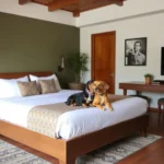 Pabellón Hotel Soto - Hotel Pet Friendly en Maravatío de Ocampo