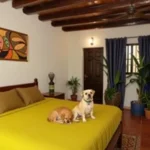 Posada La Presa - Tepoztlán - Hotel Pet Friendly en Tepoztlán
