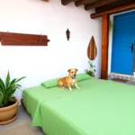Posada Meztitla - Hotel Pet Friendly en Tepoztlán