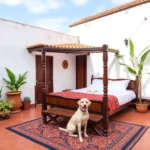Posada Yolihuani Patzcuaro - Hotel Pet Friendly en Pátzcuaro