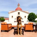 Quinta Real Puebla - Hotel Pet Friendly en Heroica Puebla de Zaragoza