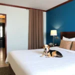 Real Inn Torreon - Hotel Pet Friendly en Torreón