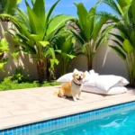 Regional San Marcos - Hotel Pet Friendly en Tuxtla Gutiérrez