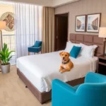 Residence Inn Merida - Hotel Pet Friendly en Mérida