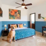 Santa Ana Hotel - Hotel Pet Friendly en Mérida