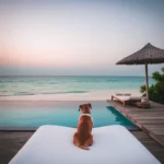 Secret Paradise - Hotel Pet Friendly en Mahahual
