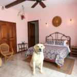 Sweet Home Hostal - Hotel Pet Friendly en Boca del Río