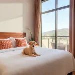 Tadeo’s Place - Hotel Pet Friendly en Tequesquitengo