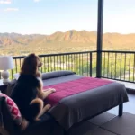 Terra Vista - Hotel Pet Friendly en Guanajuato
