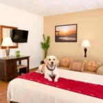 The Halfway Inn - Hotel Pet Friendly en Guerrero Negro