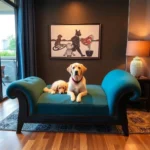 The Royal Petshotel - Hotel Pet Friendly en Monterrey