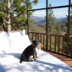 Vista Potrero // Hotel, Camping & Events - Hotel Pet Friendly en Hidalgo