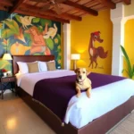 Viva Mérida Hotel Boutique - Hotel Pet Friendly en Mérida